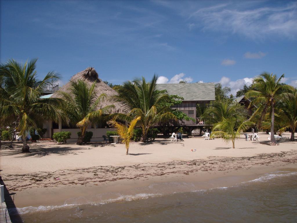 Green Parrot Beach Houses And Resort Placencia エクステリア 写真