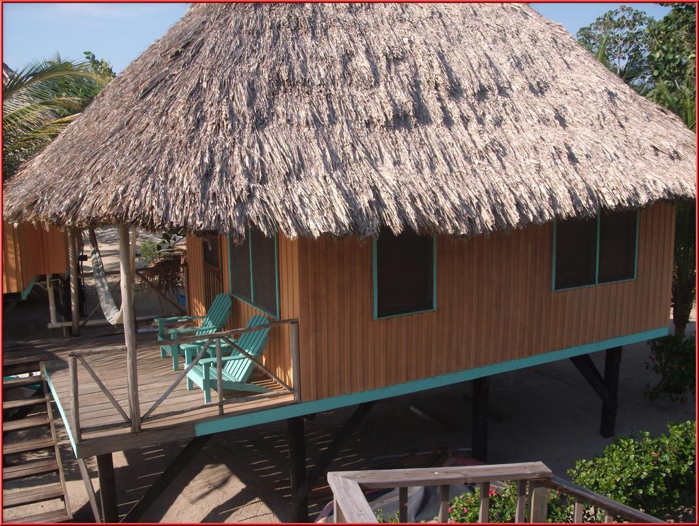 Green Parrot Beach Houses And Resort Placencia エクステリア 写真