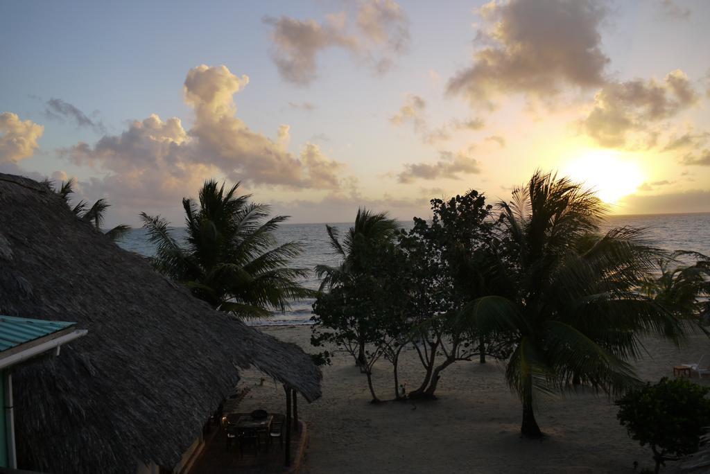 Green Parrot Beach Houses And Resort Placencia エクステリア 写真