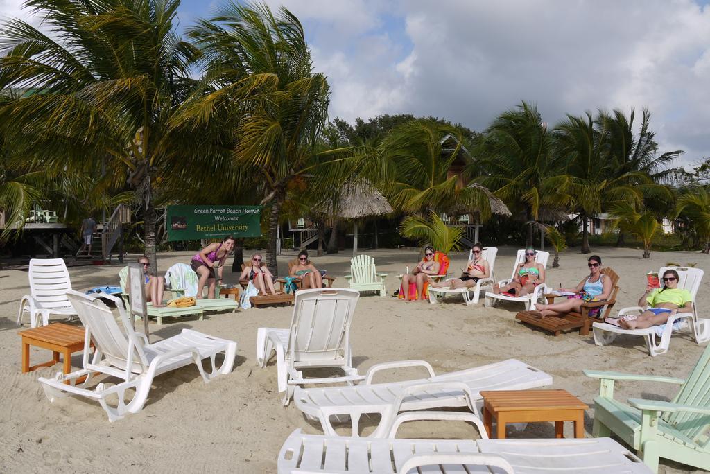 Green Parrot Beach Houses And Resort Placencia エクステリア 写真