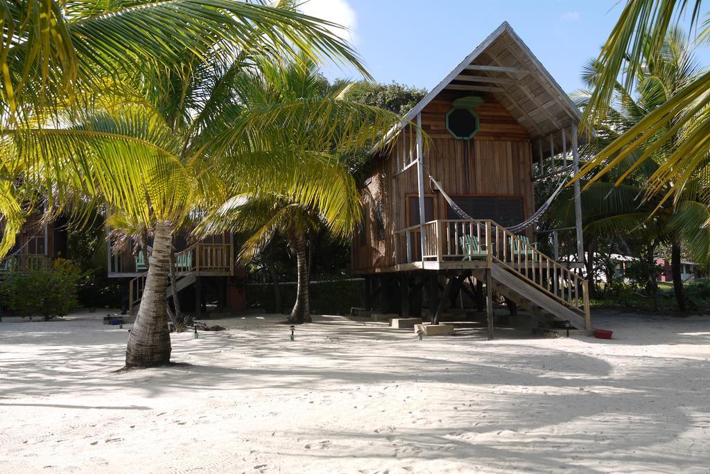 Green Parrot Beach Houses And Resort Placencia エクステリア 写真
