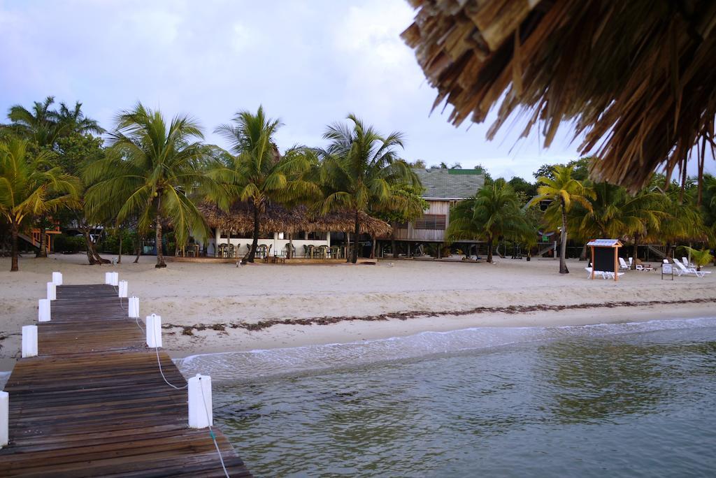 Green Parrot Beach Houses And Resort Placencia エクステリア 写真