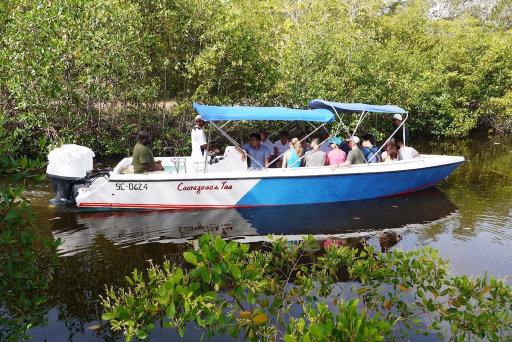Green Parrot Beach Houses And Resort Placencia エクステリア 写真