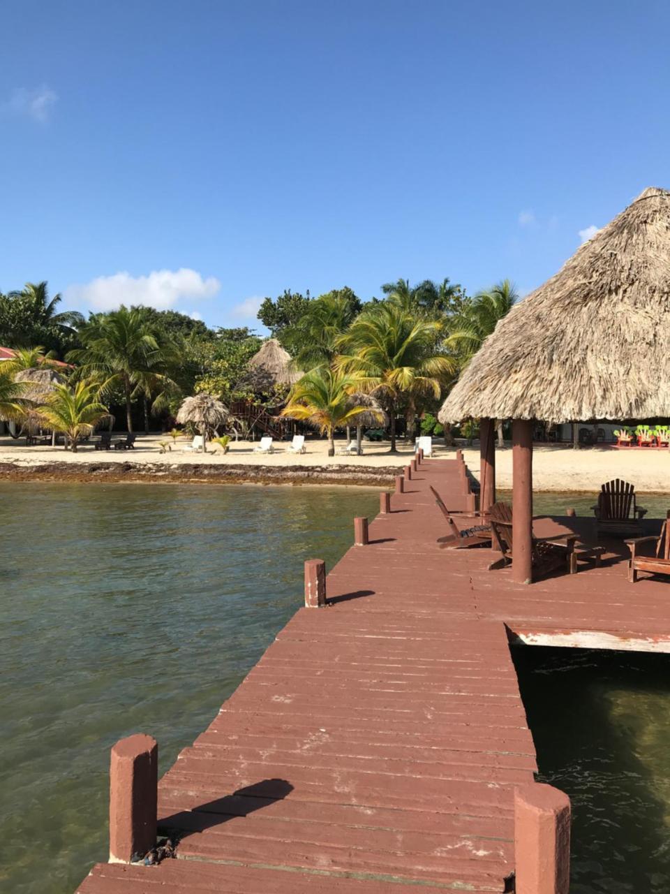 Green Parrot Beach Houses And Resort Placencia エクステリア 写真