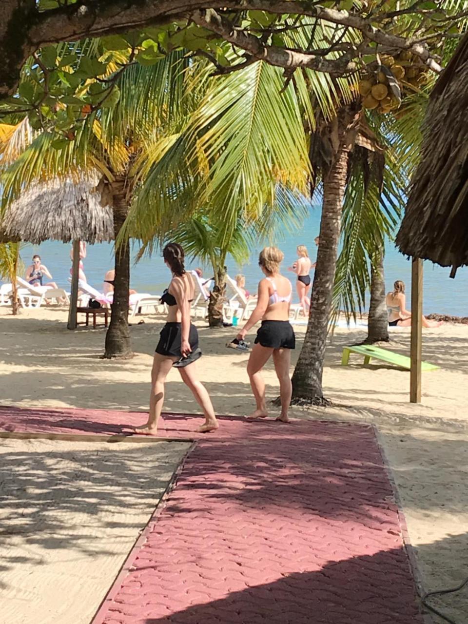 Green Parrot Beach Houses And Resort Placencia エクステリア 写真