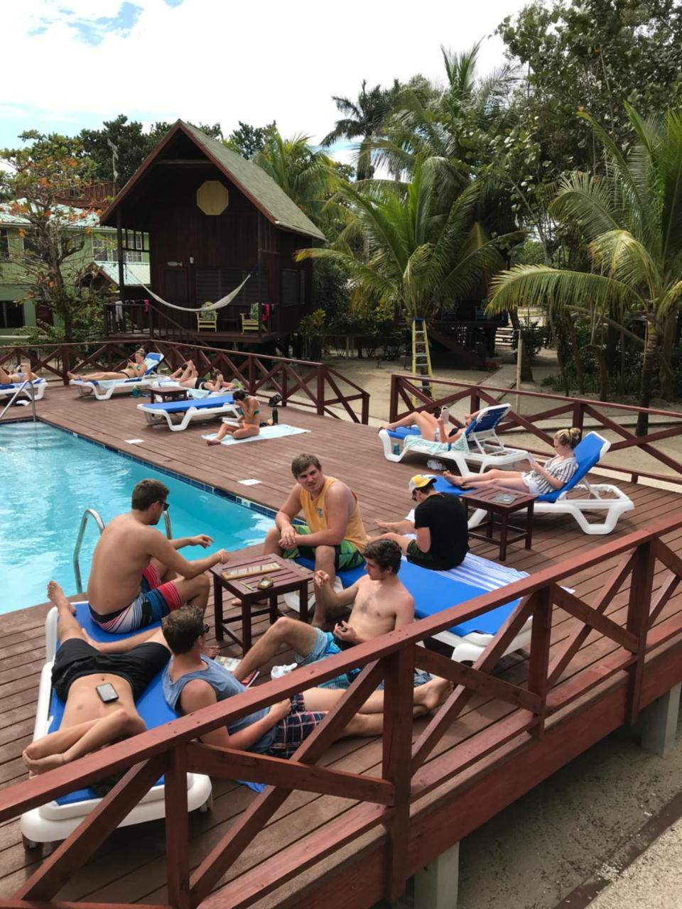 Green Parrot Beach Houses And Resort Placencia エクステリア 写真