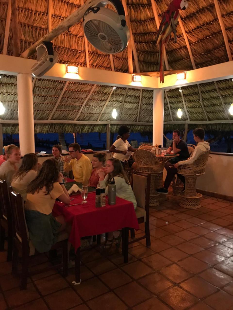 Green Parrot Beach Houses And Resort Placencia エクステリア 写真