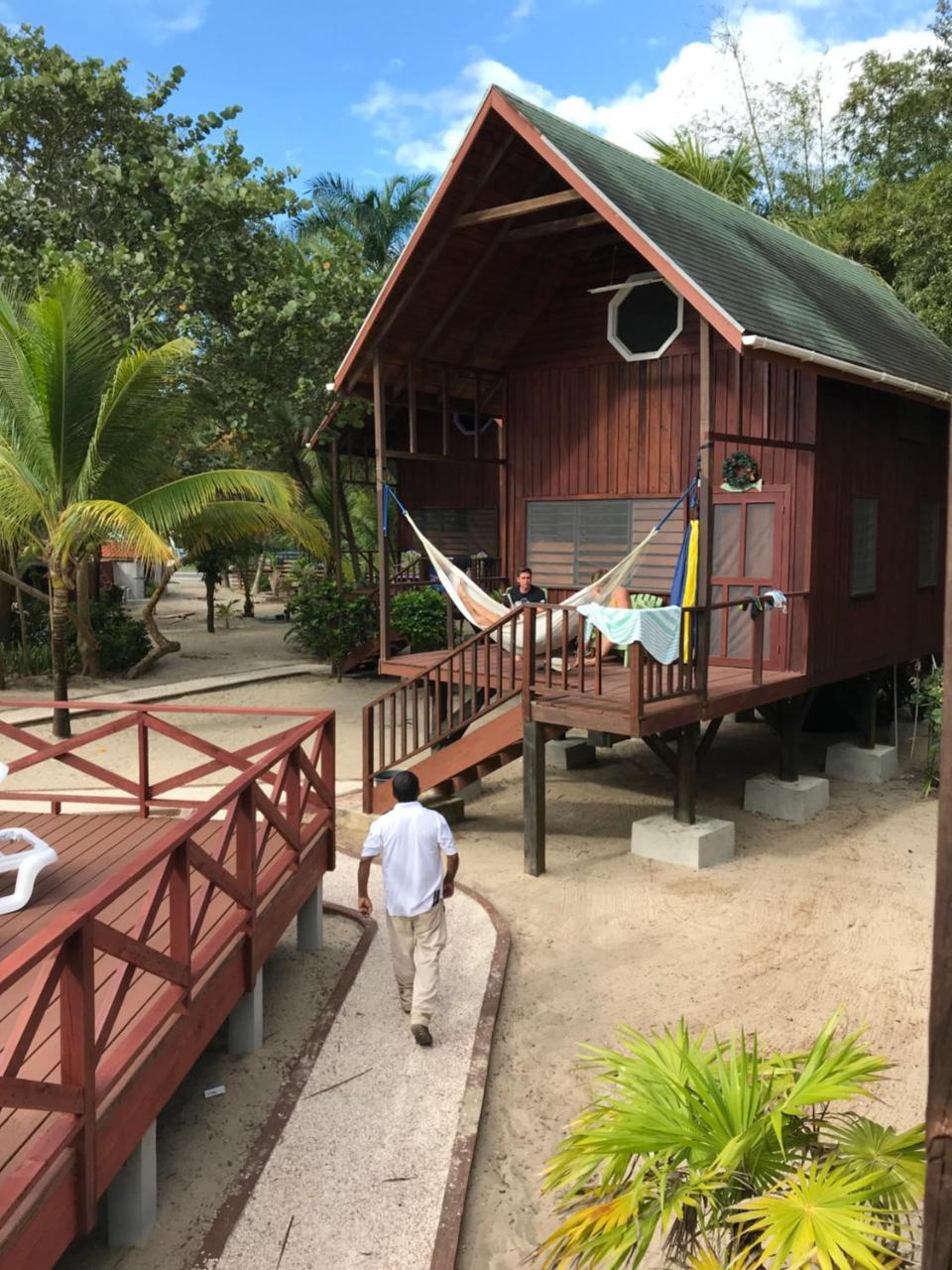 Green Parrot Beach Houses And Resort Placencia エクステリア 写真