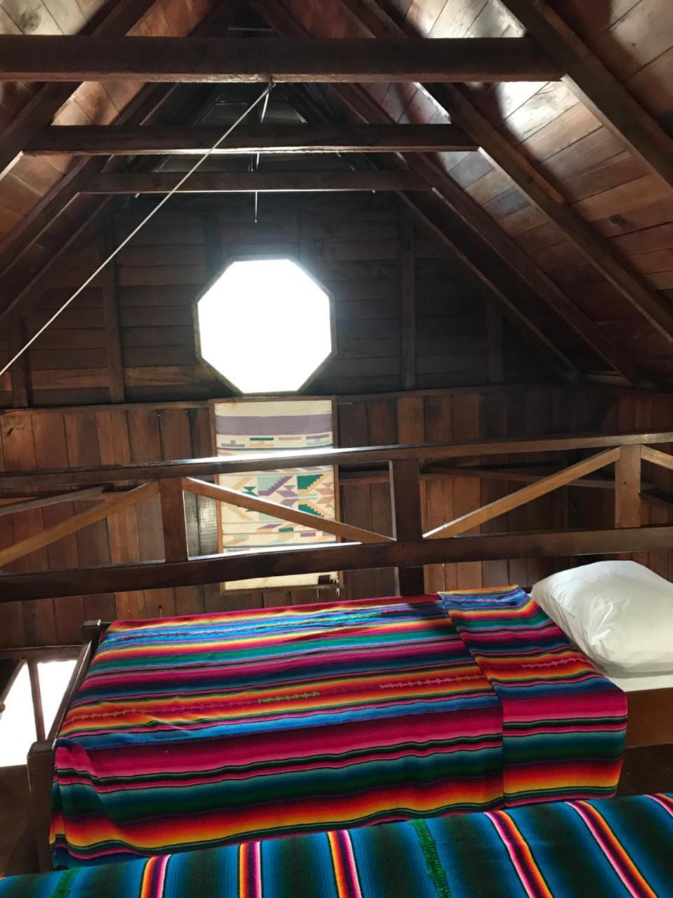 Green Parrot Beach Houses And Resort Placencia エクステリア 写真